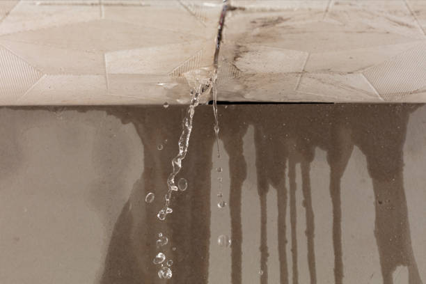 Professional Burst Pipe Cleanup technician working in Parkman, OH